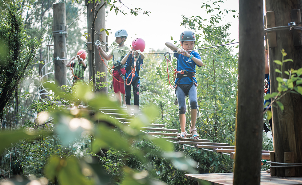 林地項(xiàng)目